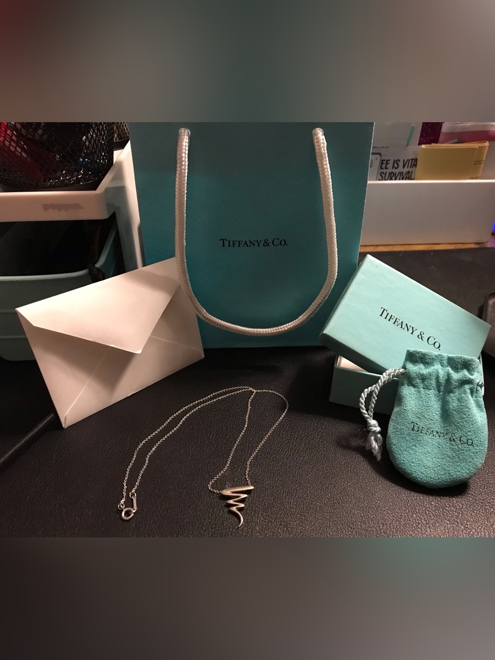 AUTHENTIC TIFFANY & CO. PALOMA PICASSO STERLING SILVER NECKLACE 😯